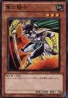 Product image for Hayabusa Knight