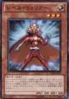 Product image for Level Warrior