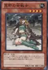 Product image for Warrior Lady of the Wasteland