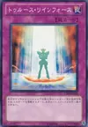 Product image for Reinforce Truth