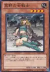 Product image for Warrior Lady of the Wasteland