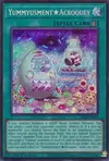 Product image for Yummyusment★Acroquey