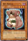 Product image for Des Koala