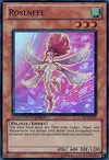 Product image for Rose Fairy