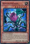 Product image for Rose Tentacles