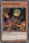 Product image for Lonefire Blossom