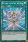 Product image for Transcendent Wings