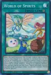 Product image for World of Spirits