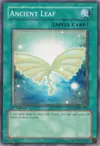 Product image for Ancient Leaf