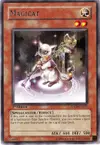 Product image for Magicat