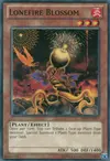 Product image for Lonefire Blossom