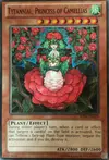 Product image for Tytannial, Princess of Camellias