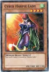 Product image for Cyber Harpie Lady