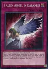 Product image for Fallen Angel in Darkness