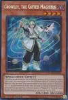 Product image for Crowley, the Gifted Magistus