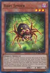 Product image for Baby Spider