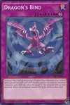Product image for Dragon's Bind