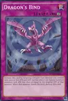 Product image for Dragon's Bind