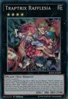 Product image for Traptrix Rafflesia