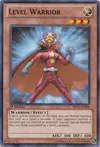 Product image for Level Warrior