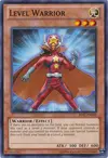 Product image for Level Warrior