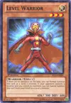 Product image for Level Warrior