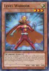 Product image for Level Warrior