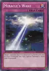 Product image for Miracle's Wake