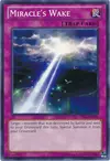 Product image for Miracle's Wake