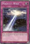 Product image for Miracle's Wake