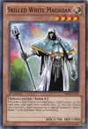Product image for Skilled White Magician