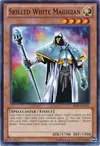 Product image for Skilled White Magician