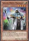 Product image for Skilled White Magician