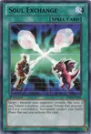 Product image for Soul Exchange