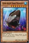 Product image for Requin Mégalodon Hyper Ancien