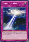 Product image for Miracle's Wake