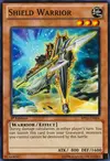 Product image for Shield Warrior