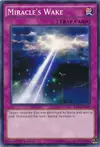 Product image for Miracle's Wake