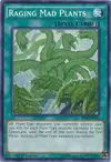 Product image for Invasion des Plantes Infernales