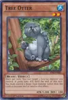 Product image for Tree Otter