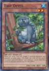 Product image for Tree Otter