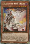 Product image for Fallen of the White Dragon