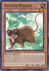 Product image for Playful Possum