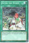Product image for After the Storm