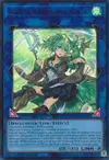 Product image for Wynn the Wind Charmer, Verdant