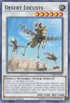 Product image for Desert Locusts