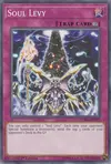 Product image for Soul Levy