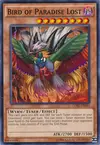 Product image for Bird of Paradise Lost