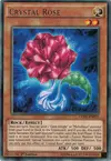 Product image for Crystal Rose