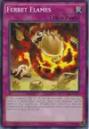 Product image for Ferret Flames